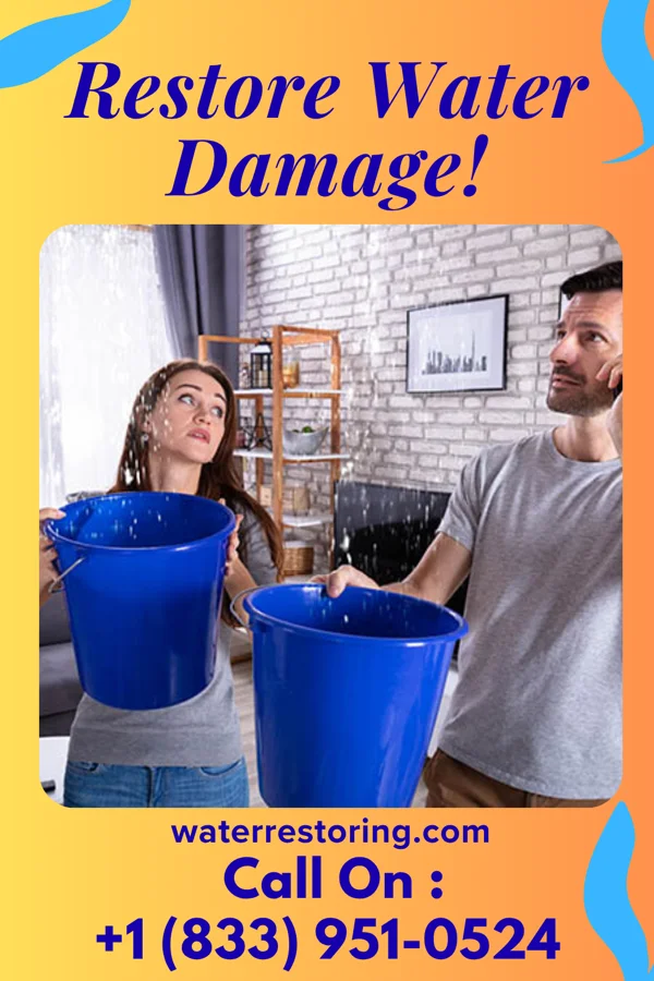 water restoration Best Water Works Masters Waverly