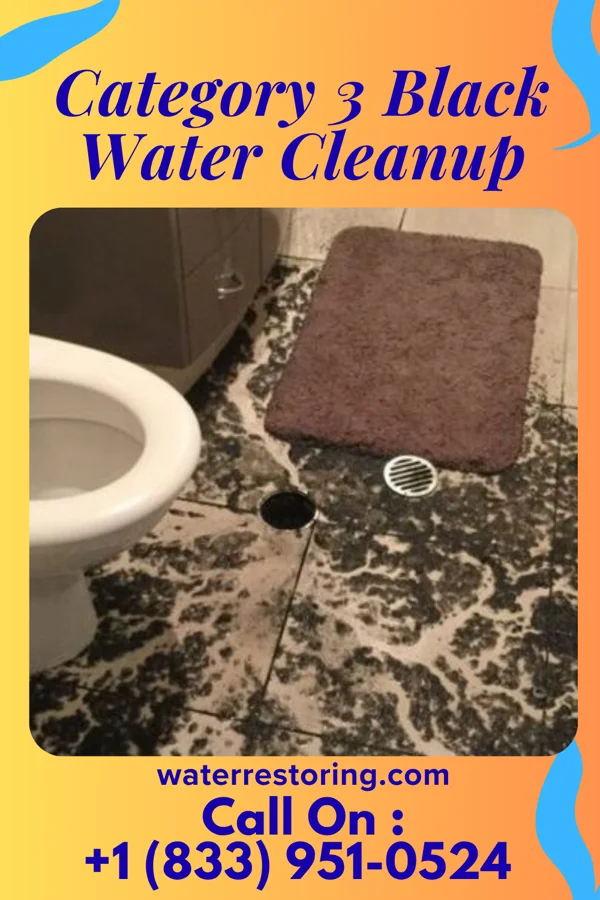 Category 3 Black Water Cleanup in Waverly, NY