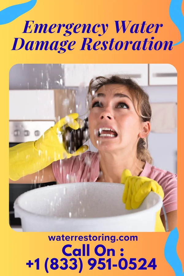 Emergency Water Damage Restoration in Waverly, NY