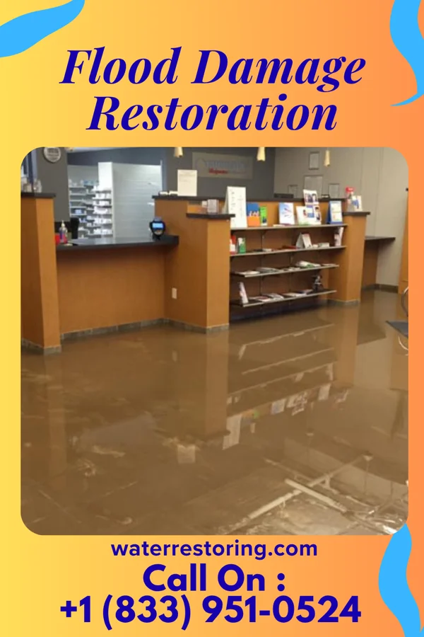Flood Damage Restoration in Waverly, NY