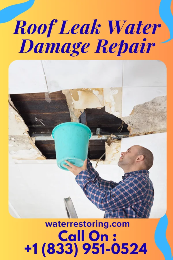 Roof Leak Water Damage Repair in Waverly, NY