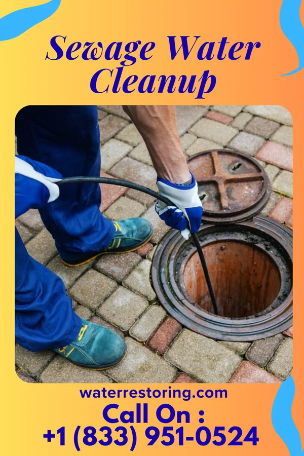 Sewage Water Cleanup in Waverly, NY