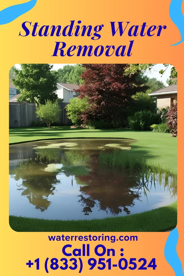 Standing Water Removal in Waverly, NY